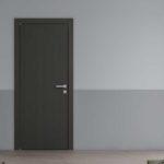 Steel Door
